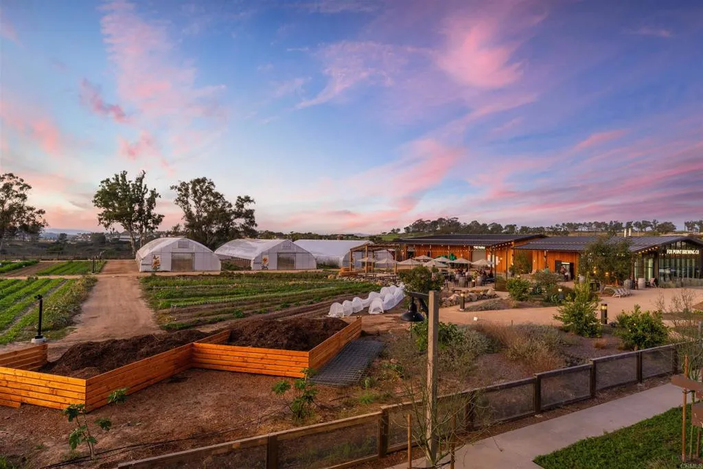 Additional image 49 of 1044 Palmaria Court, Encinitas, CA 92024