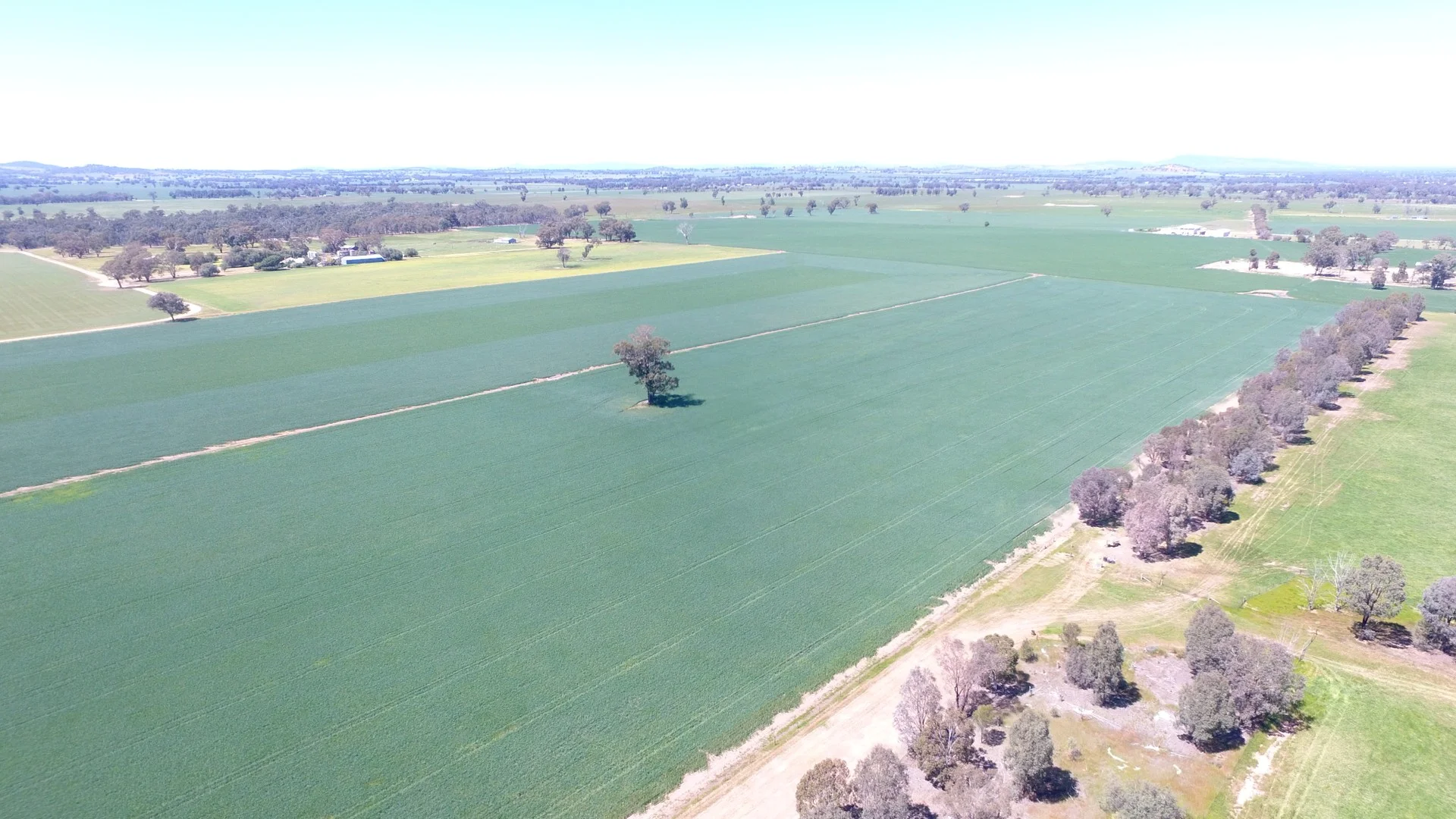 Additional image 2 of 0 Olympic Highway, Henty NSW 2658