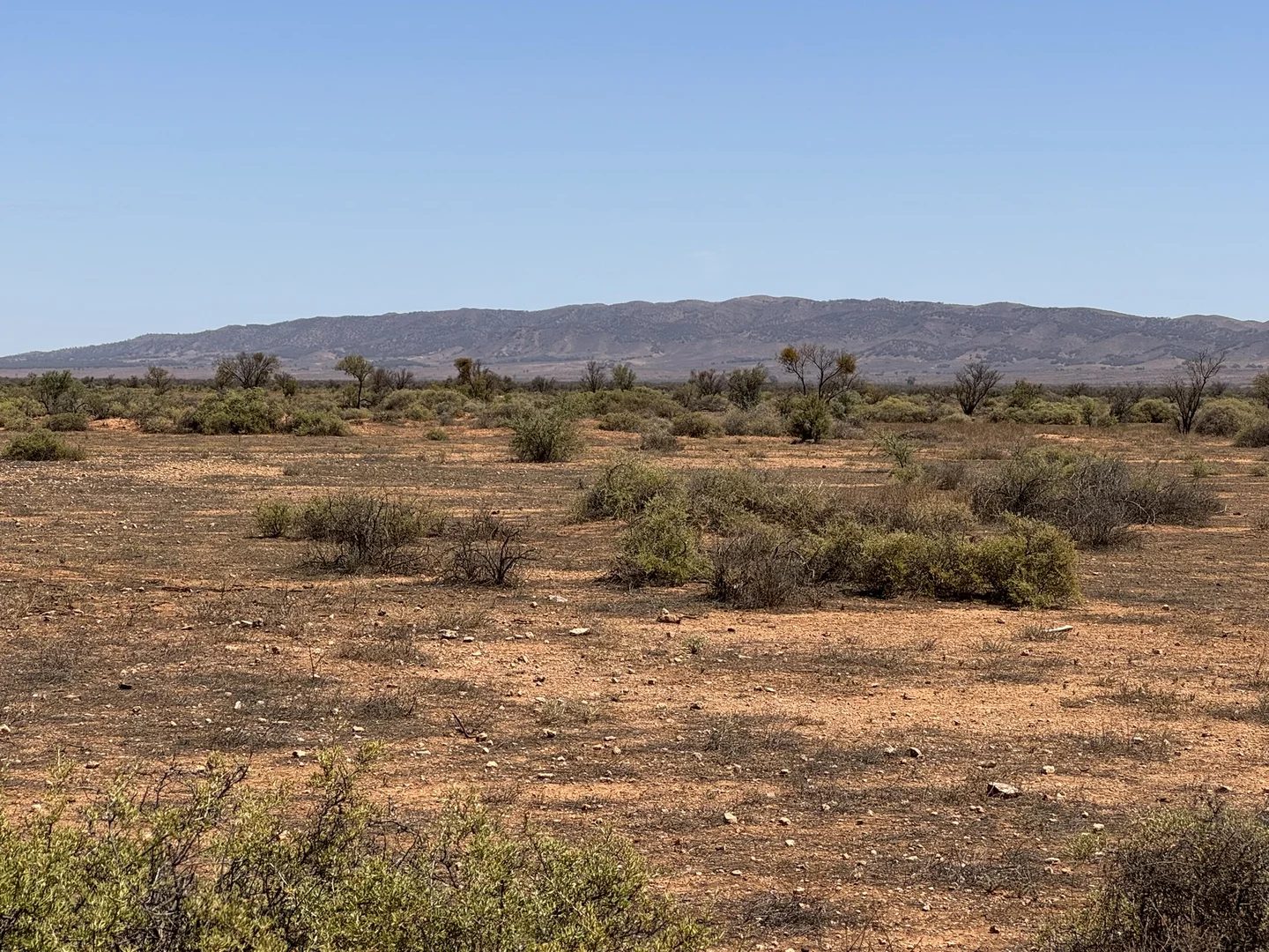 Additional image 26 of Minburra/Lynch Road, Minburra SA 5431