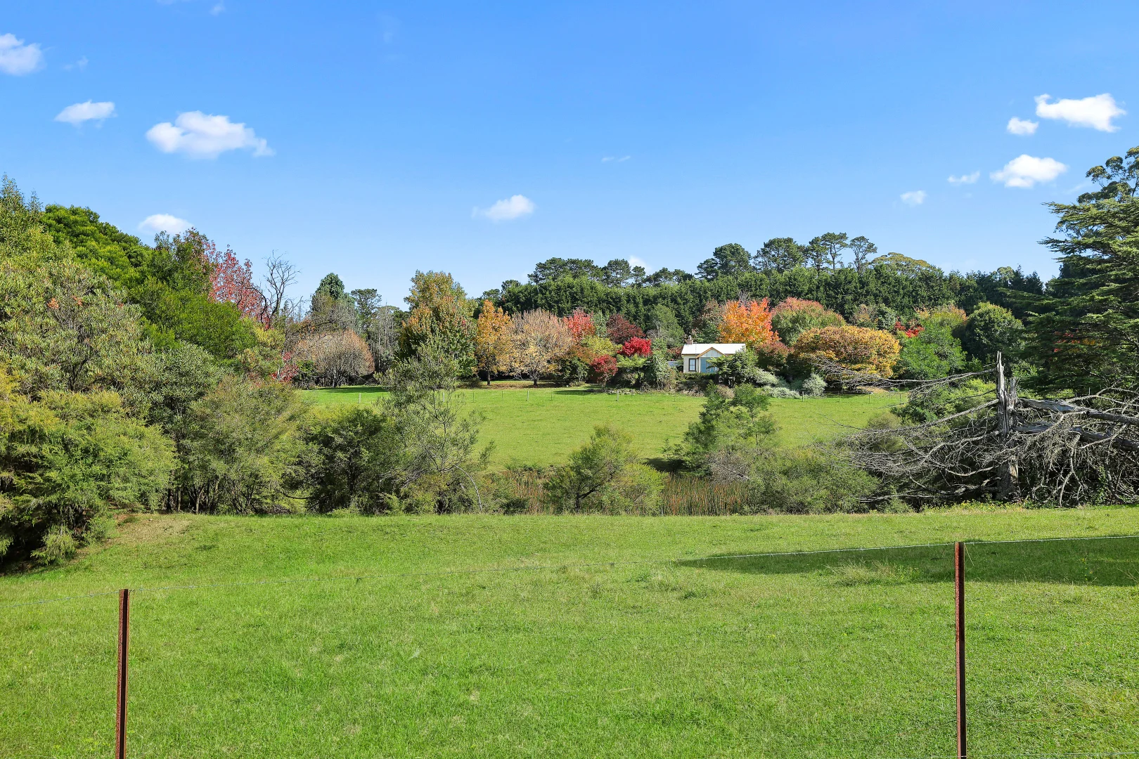 Additional image 21 of 92 Powells Road, Bilpin NSW 2758