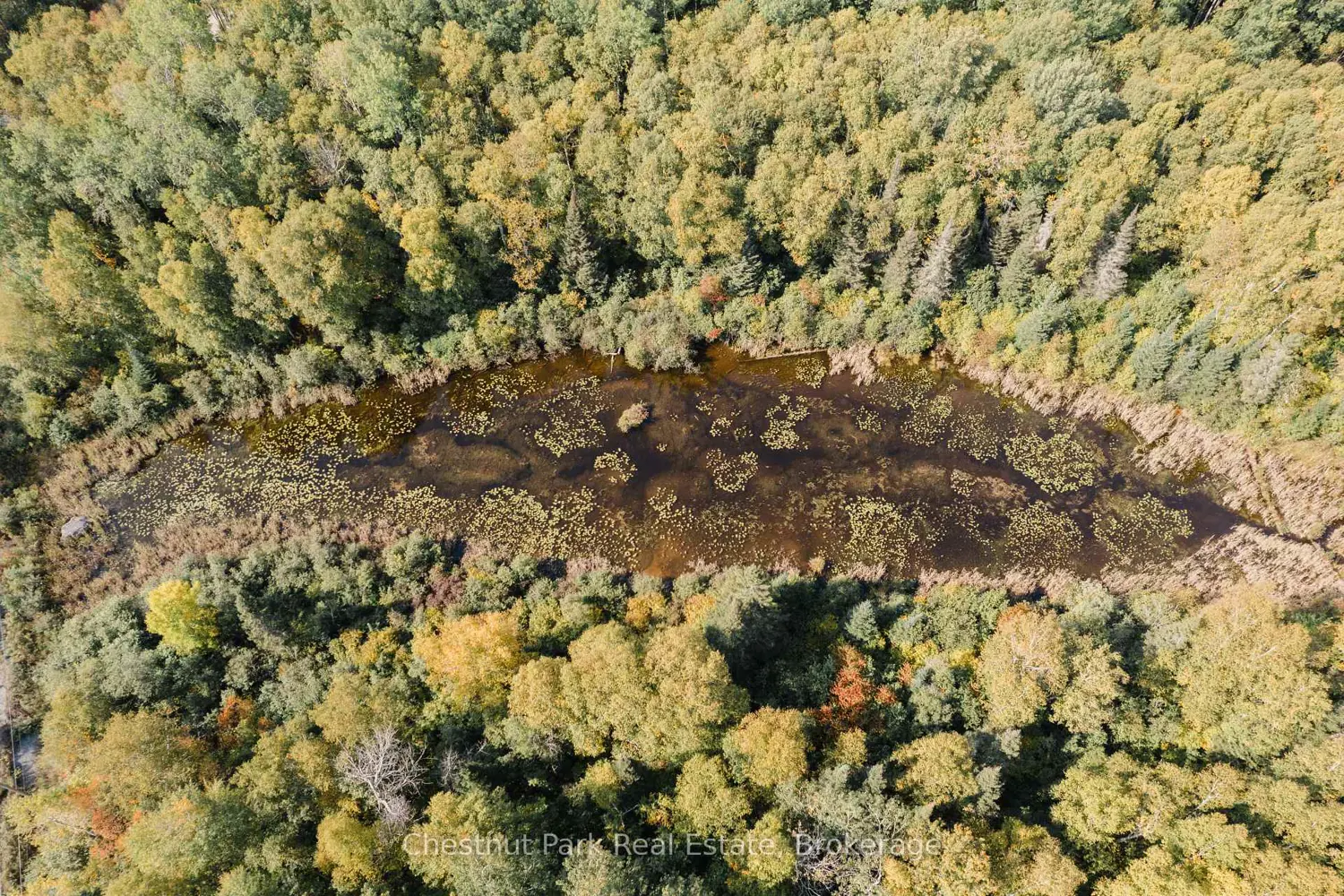 Additional image 14 of 445 Fox Run