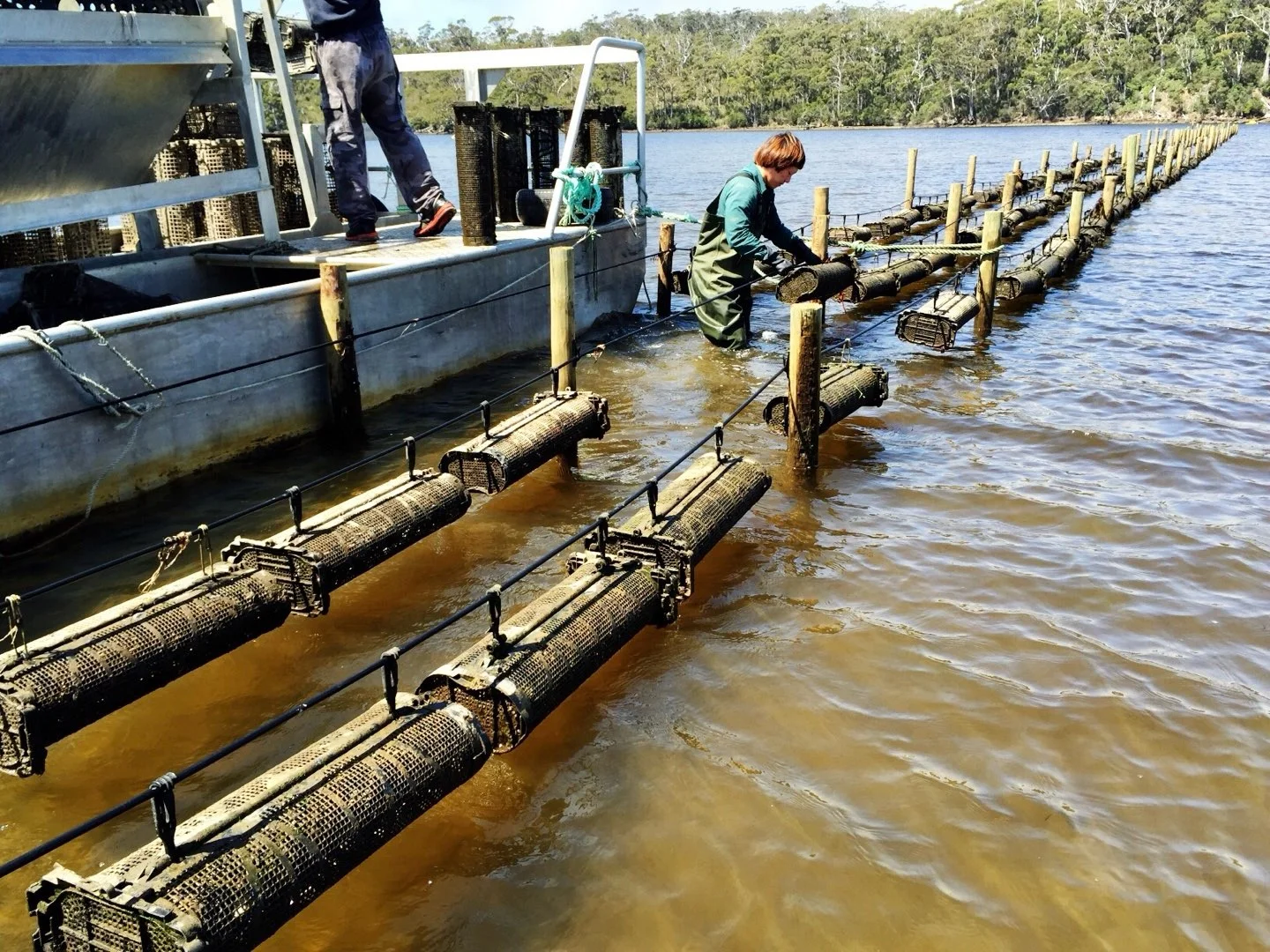 Additional image 13 of 100 Cockle Creek Road, Recherche TAS 7109