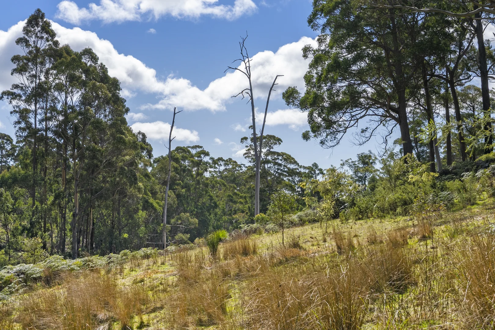 Additional image 32 of 129 Littles Road, Premaydena TAS 7185