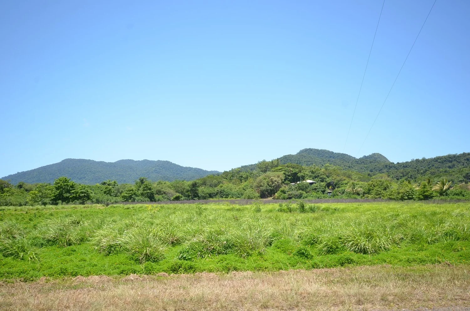 Additional image 11 of Lot 9&10 Kruckow Road, East Russell QLD 4861