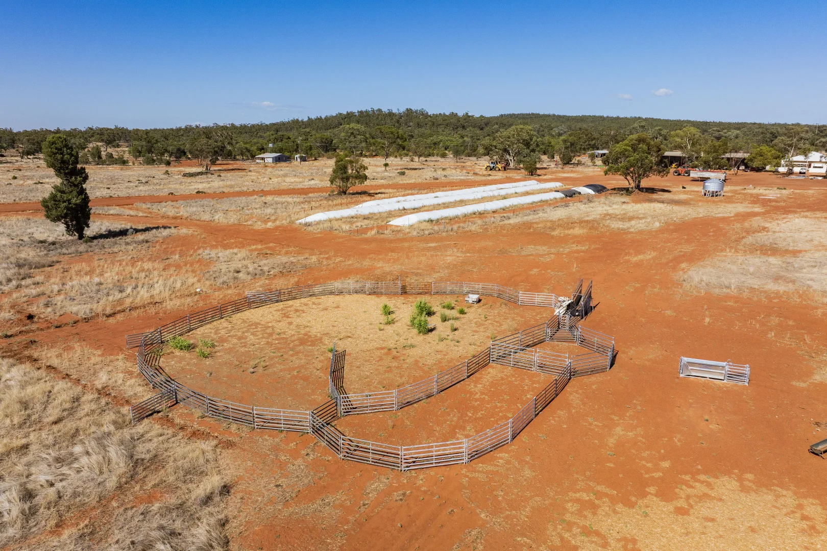 Additional image 5 of 2880 Tallebung Road, Condobolin NSW 2877