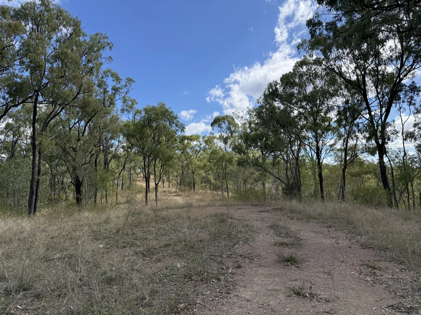 Additional image 7 of 471 Neill Creek Road, Wooderson QLD 4680