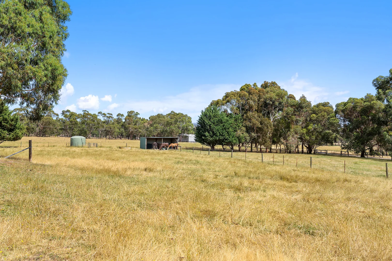 Additional image 22 of 31 Jagoe Road, Ripplebrook VIC 3818