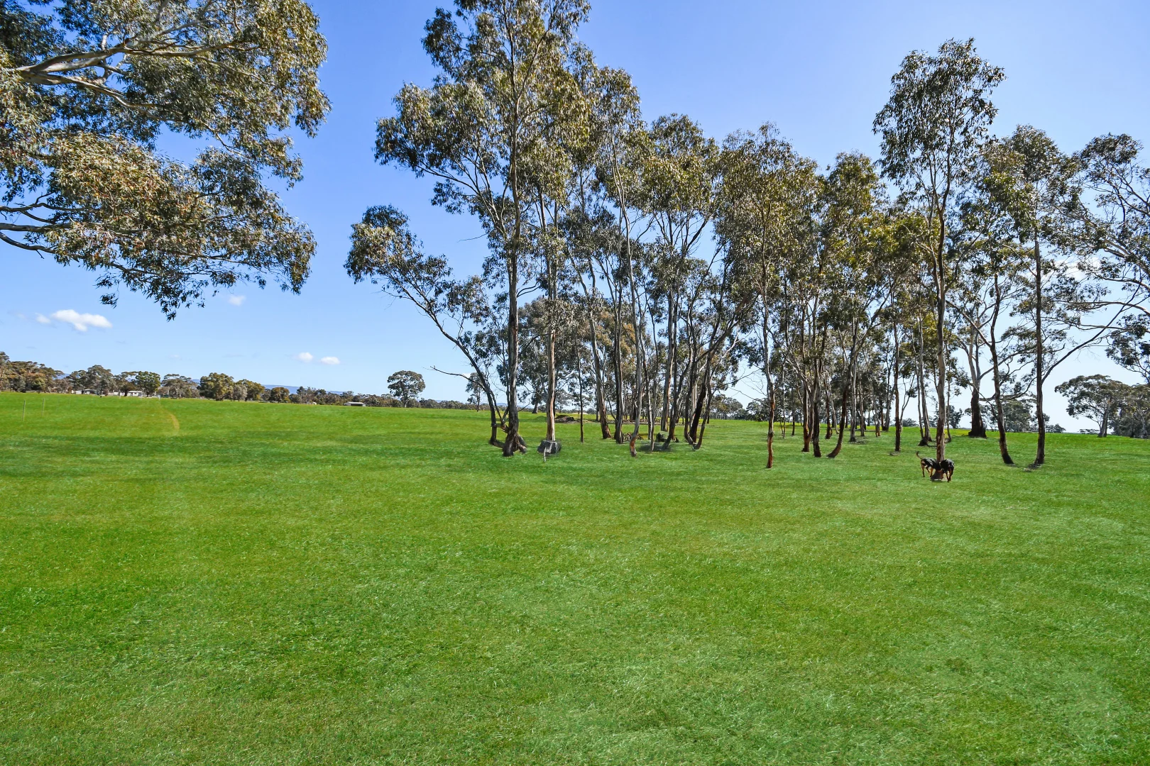 Additional image 8 of CA 2/164 Old Glenorchy Rd, Deep Lead Via, Stawell VIC 3380