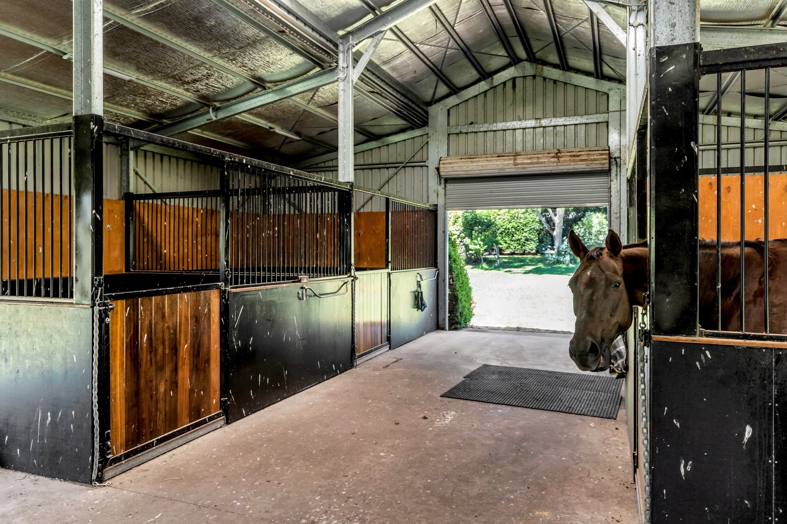 Additional image 33 of Bega NSW 2550