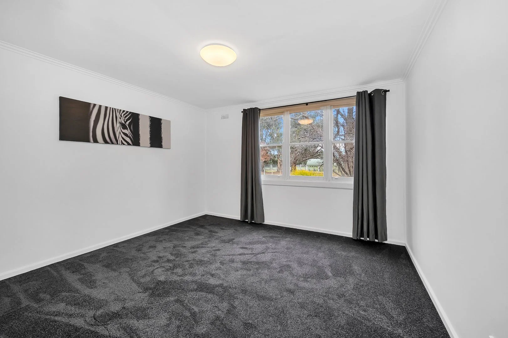 Additional image 11 of 6 Pedder Street, O'Connor ACT 2602