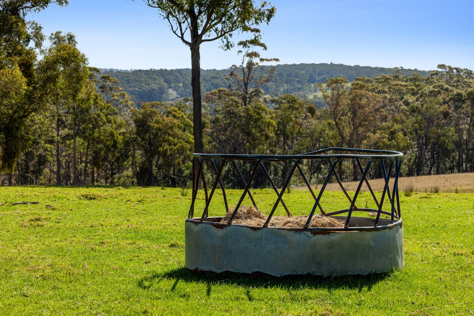 Additional image 50 of 218 Cabbage Tree - Conran Road, Cabbage Tree Creek VIC 3889
