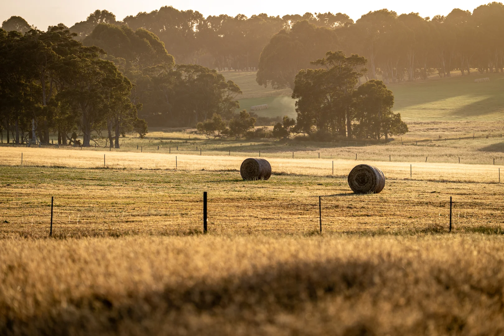 Additional image 16 of 89 Worgan Road, Metricup WA 6280