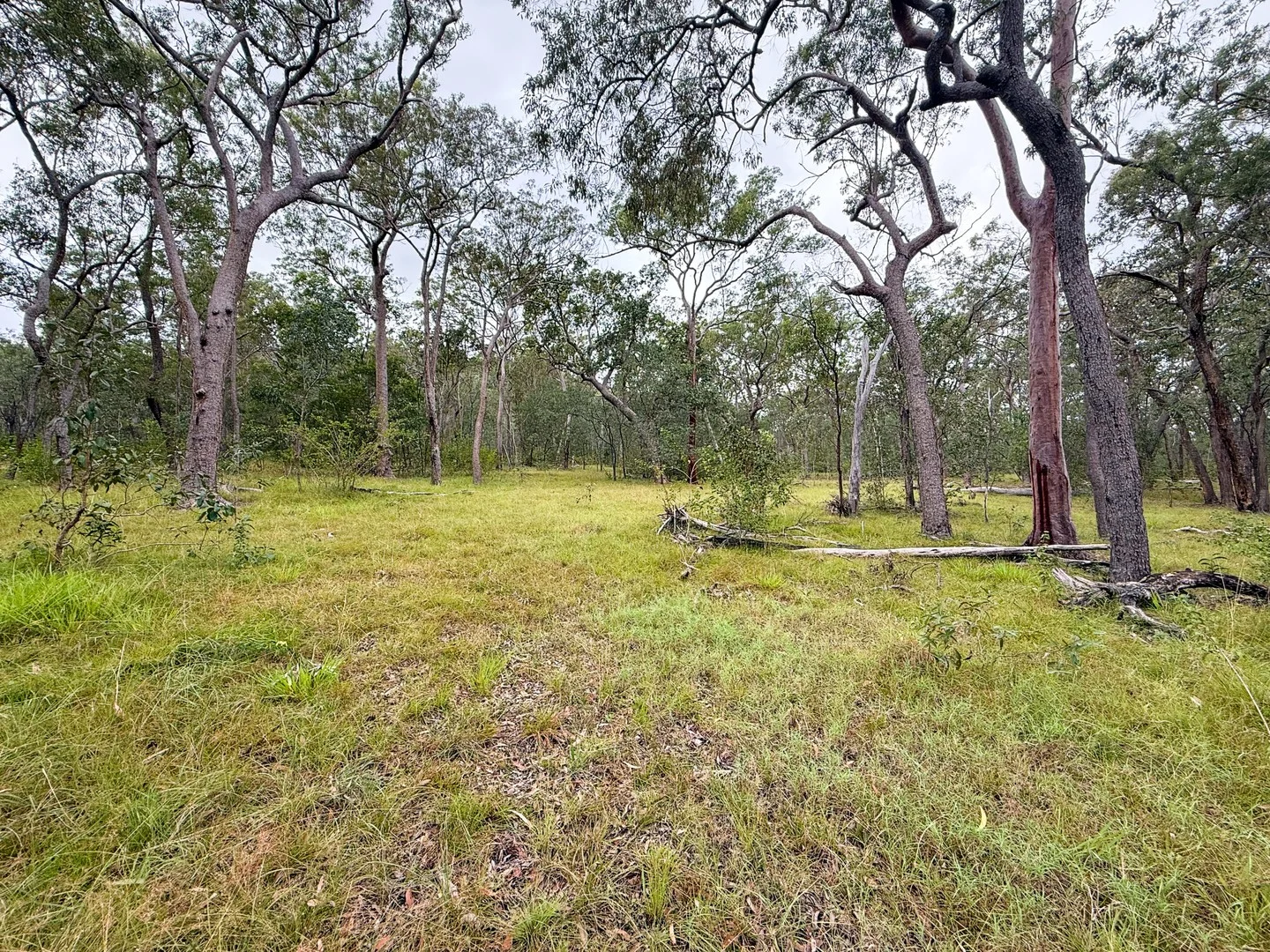 Lot 10/931 Nearum Road, Nearum QLD 4671