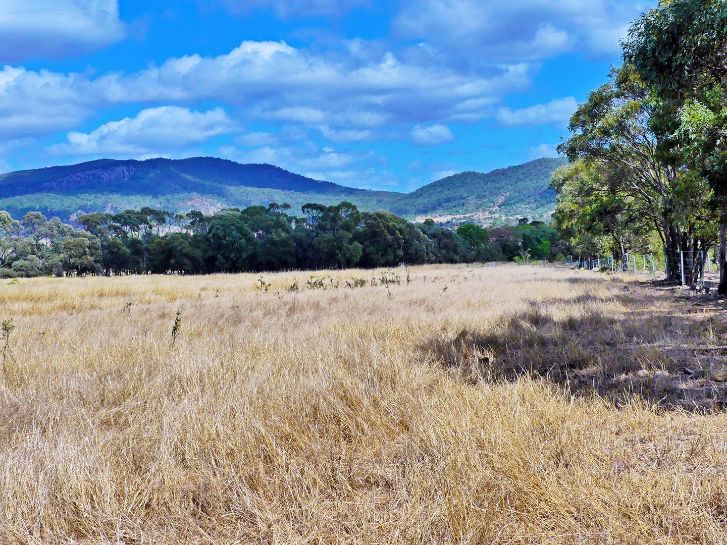 Additional image 3 of 260 Shannen Road, Dalma QLD 4702