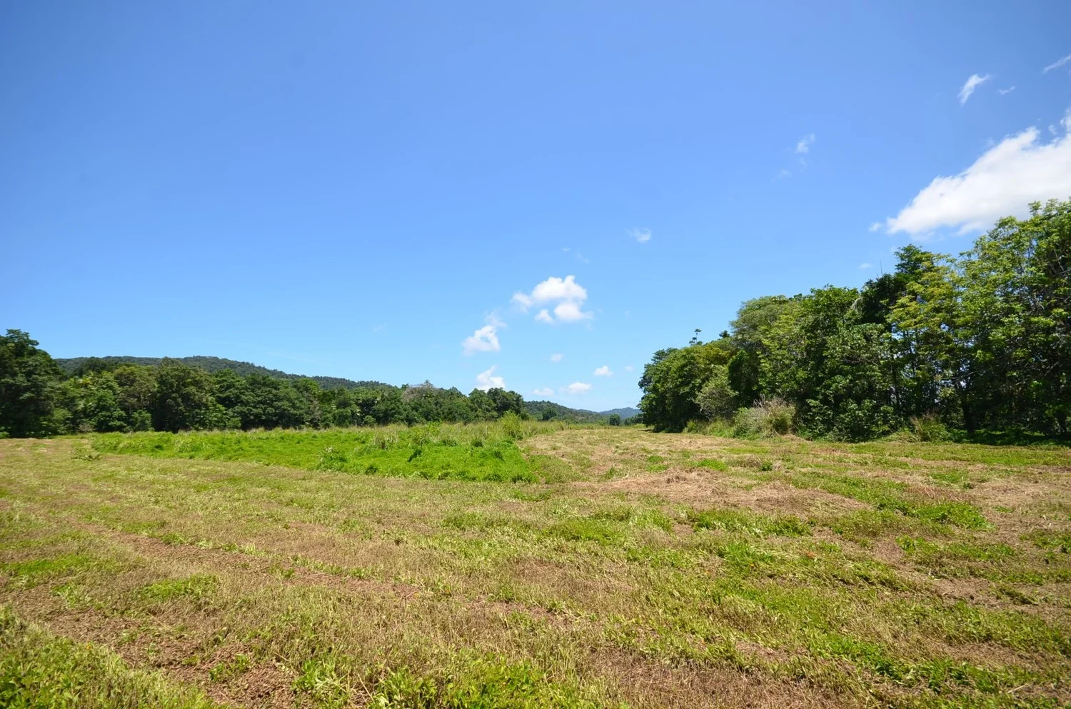 Additional image 4 of Lot 9&10 Kruckow Road, East Russell QLD 4861