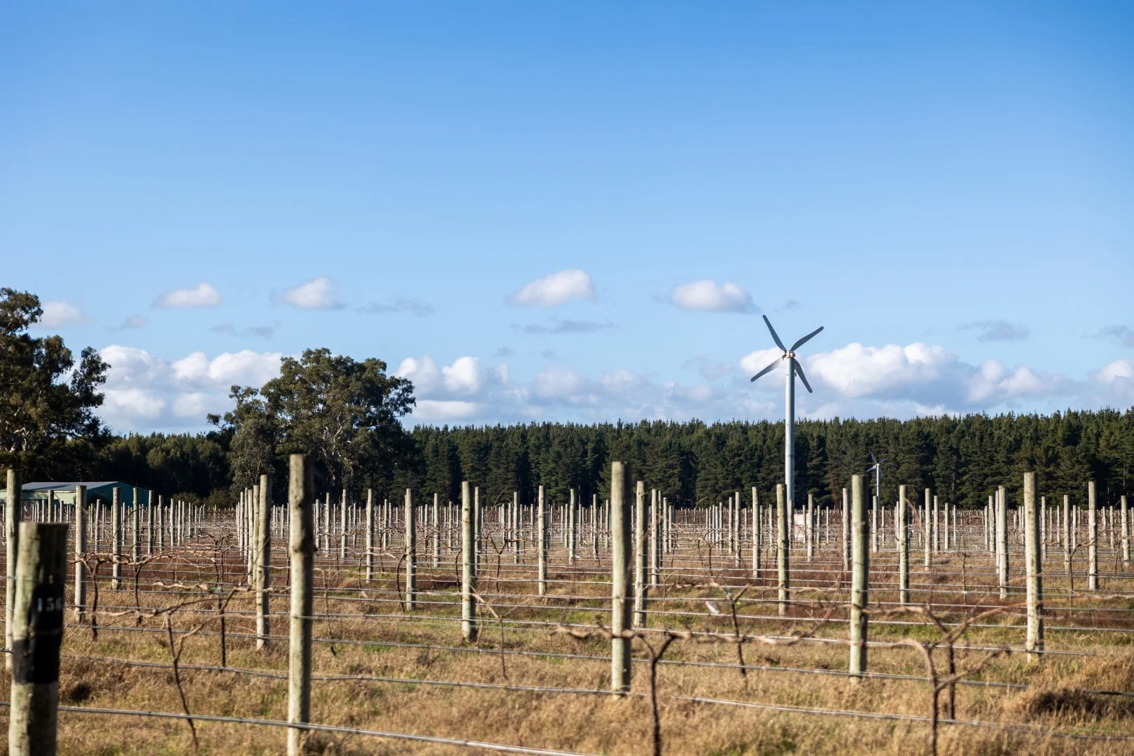 Additional image 5 of 719 Casterton Road, Penola SA 5277