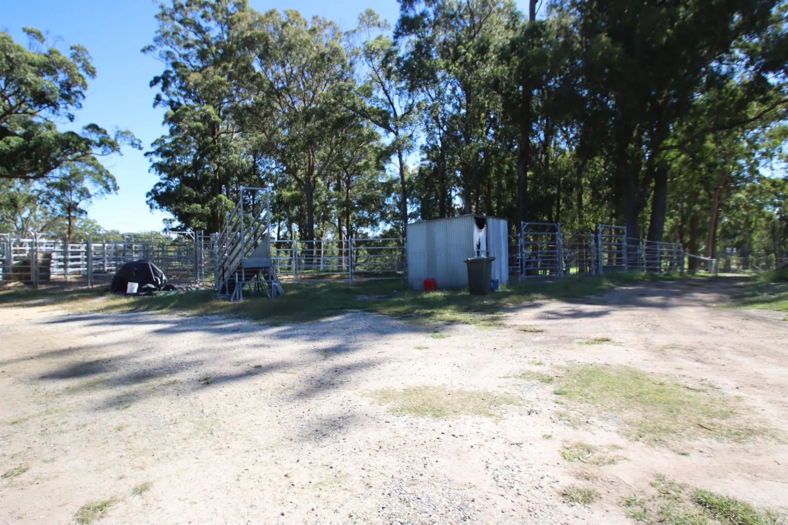 Additional image 5 of 1465 Billirimba Road, Tenterfield NSW 2372