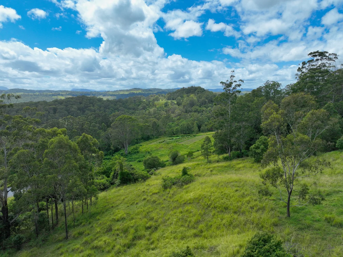 Additional image 20 of 148 Newtons Road, Eden Creek NSW 2474