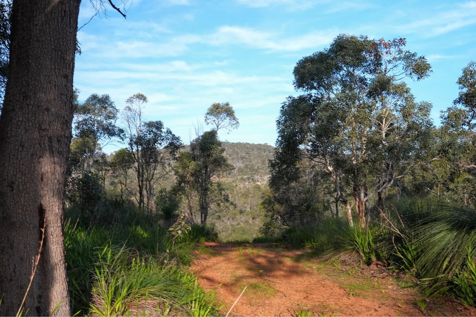 Additional image 18 of 245 Pechey Road, Swan View WA 6056