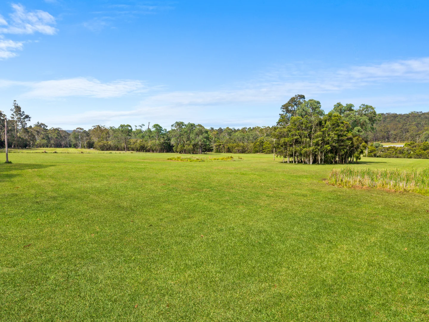 Additional image 14 of 488 Dicksons Road, Jilliby NSW 2259