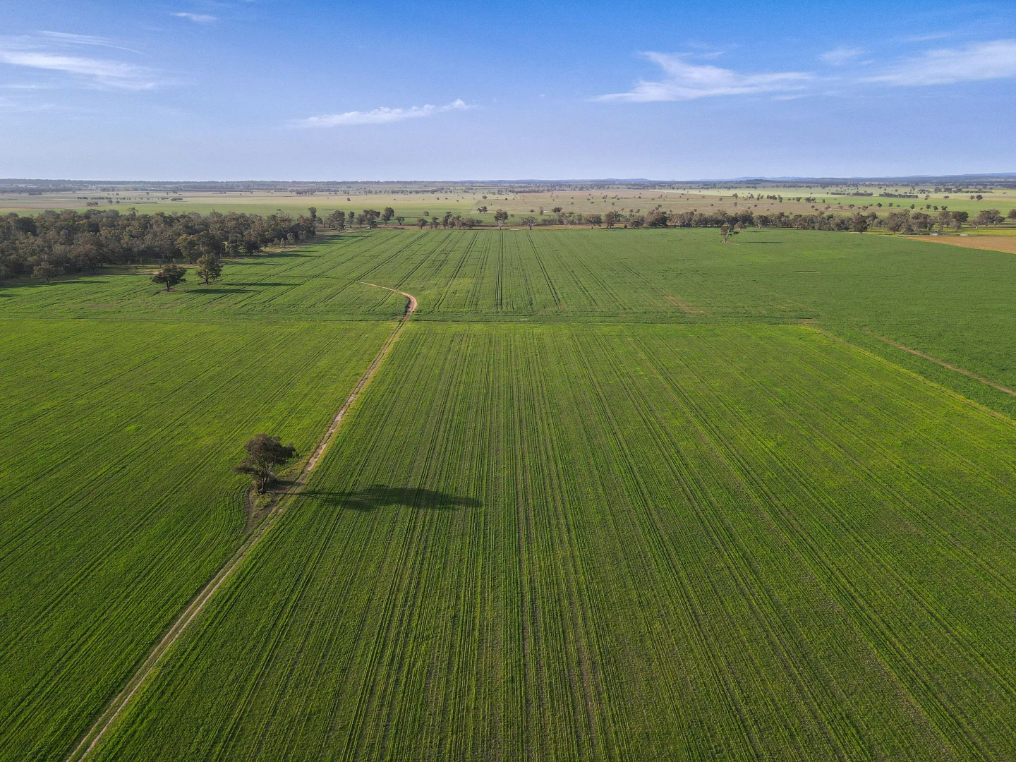 Additional image 5 of 11025 "Lima" The Escort Way, Forbes NSW 2871