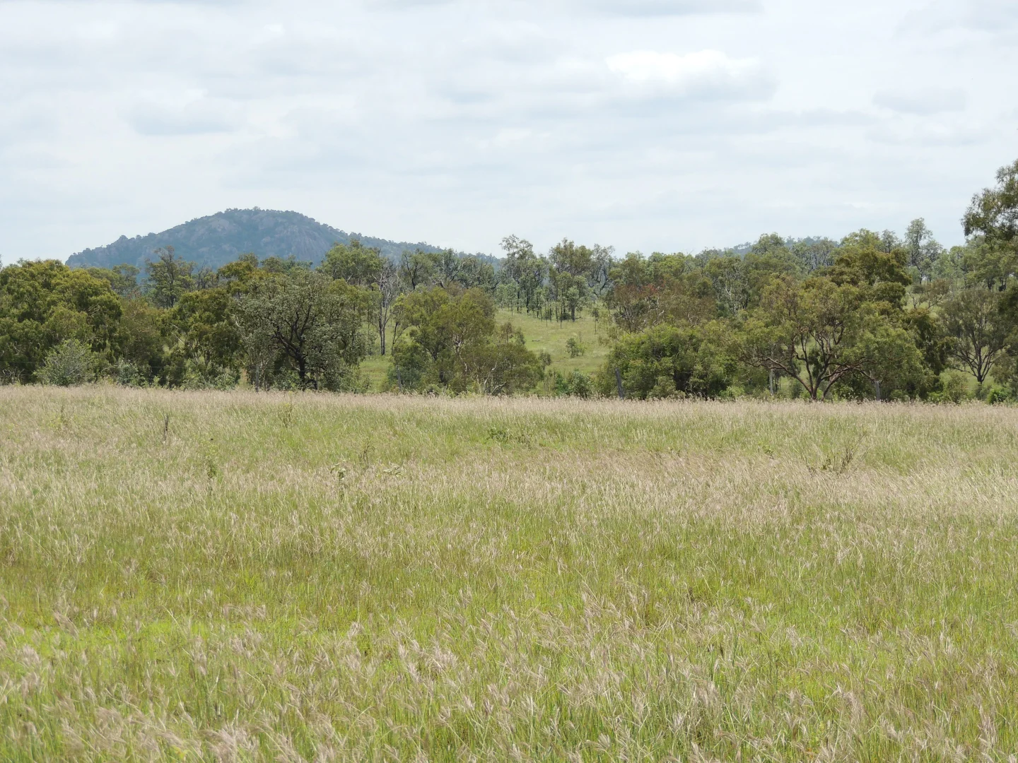 Additional image 2 of 0 Pipeline Road, Nine Mile QLD 4702