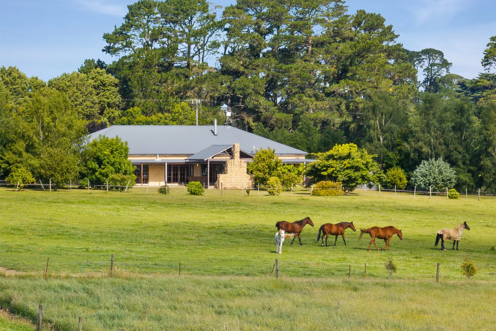 Additional image 26 of 1061 Neerim East Road, Neerim East VIC 3831