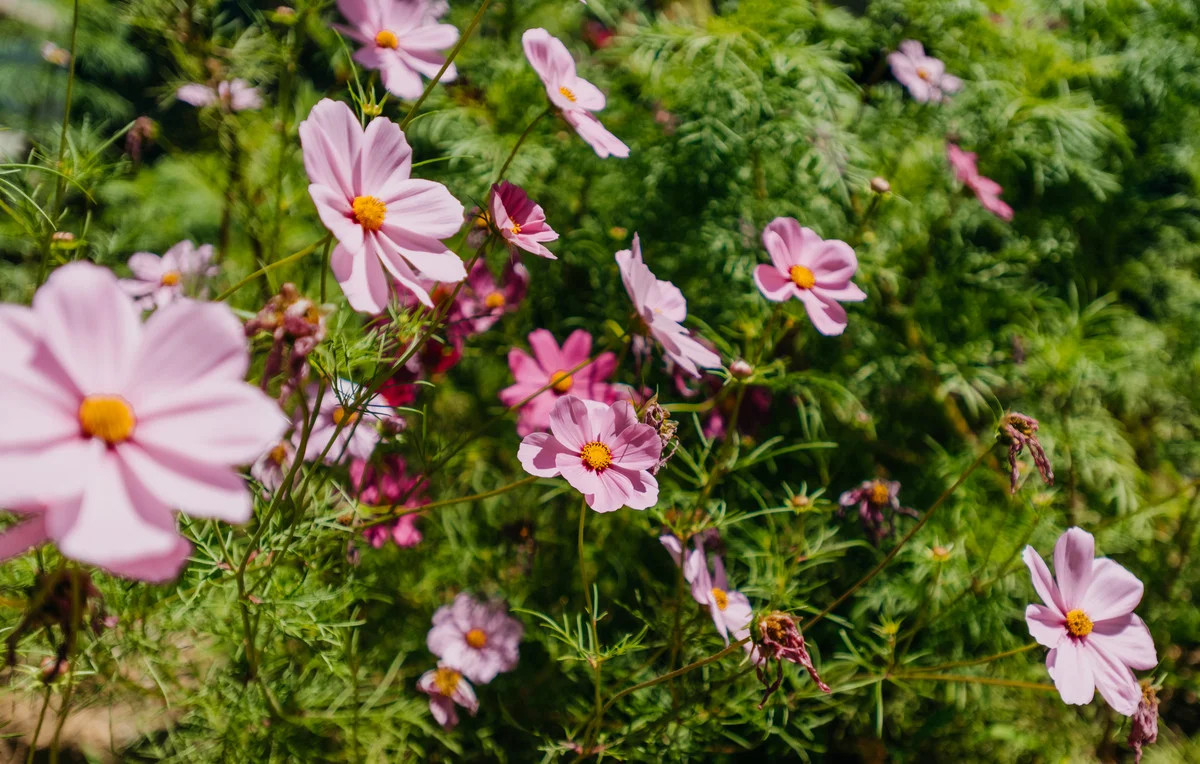 Additional image 31 of 14 Reid Street, Merimbula NSW 2548