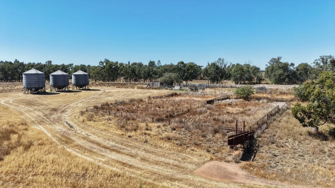 Additional image 18 of 128 Berida-Bullagreen Road, Collie NSW 2827