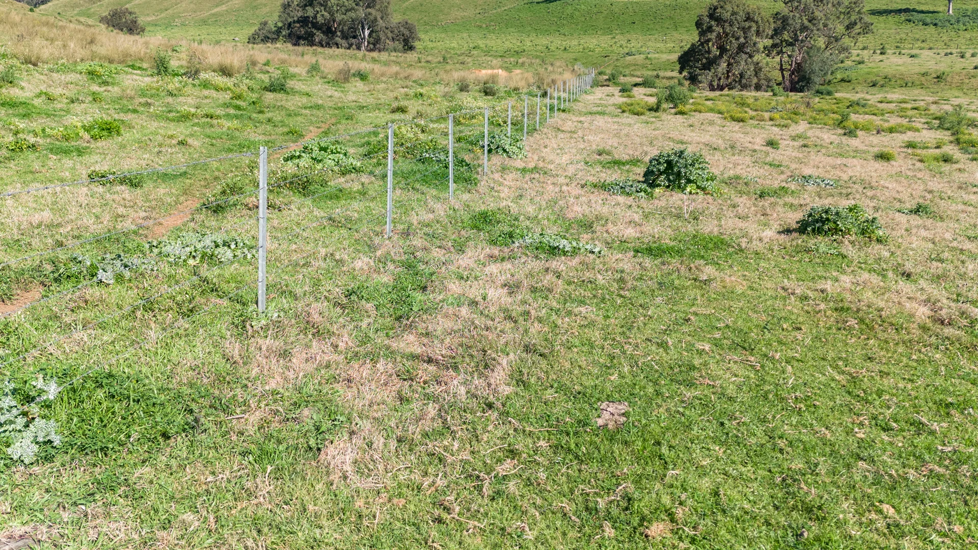 Additional image 13 of 180 Stoney Creek Rd, Rouchel via, Aberdeen NSW 2336