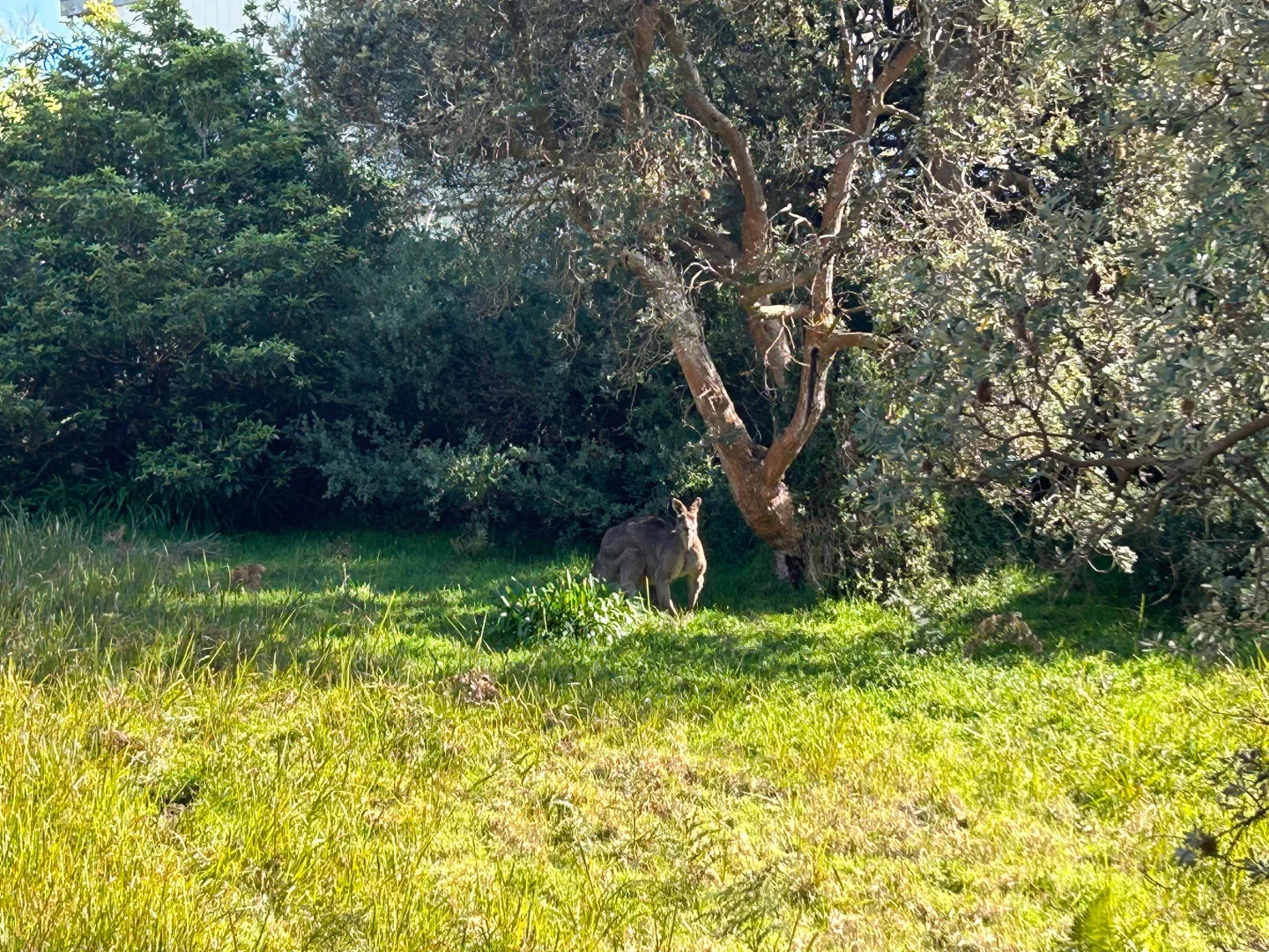 Additional image 7 of 8 ALFRED CRESCENT, Venus Bay VIC 3956