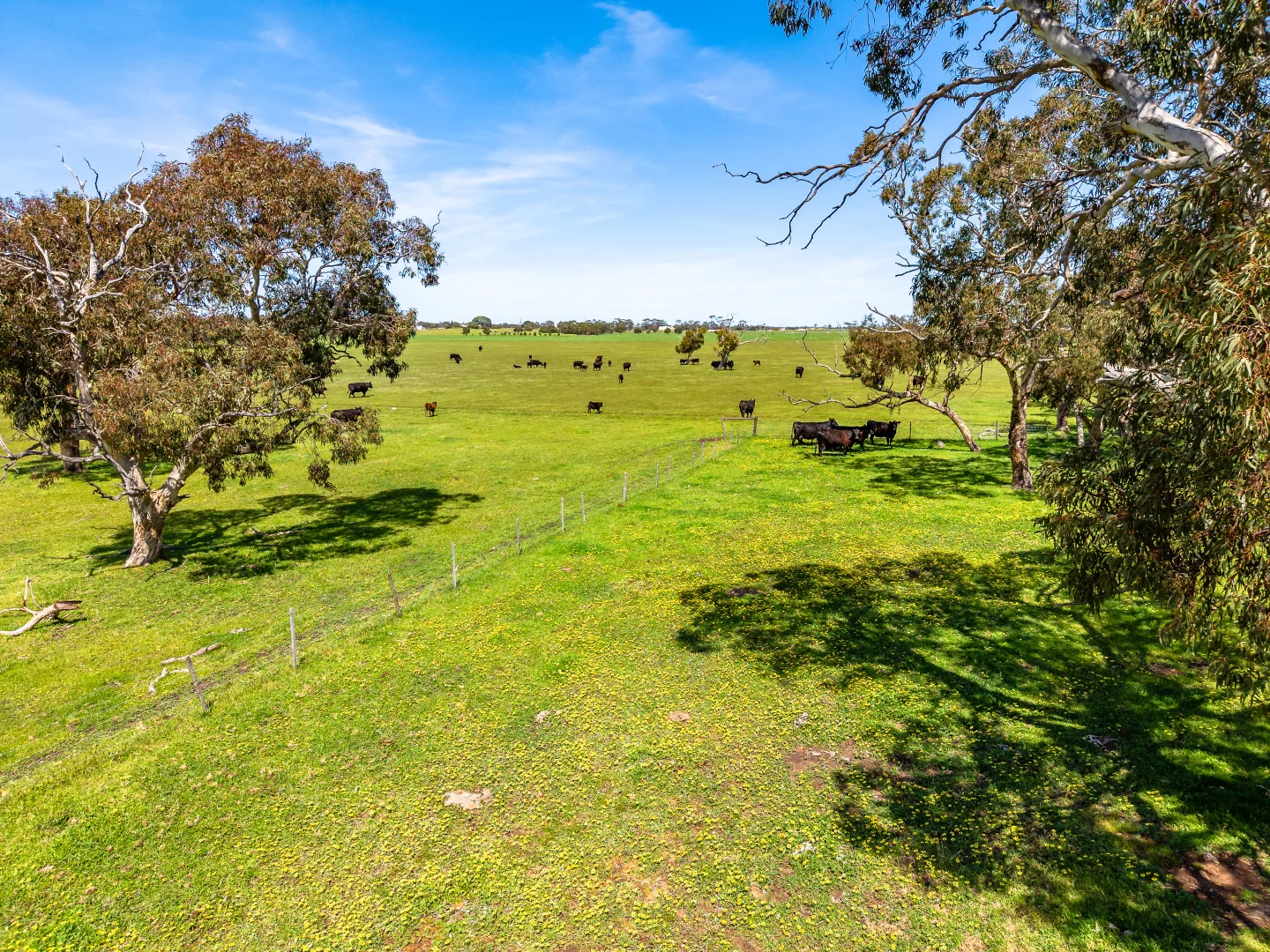 Additional image 22 of 641 Minnie Crowe Road, Avenue Range SA 5273