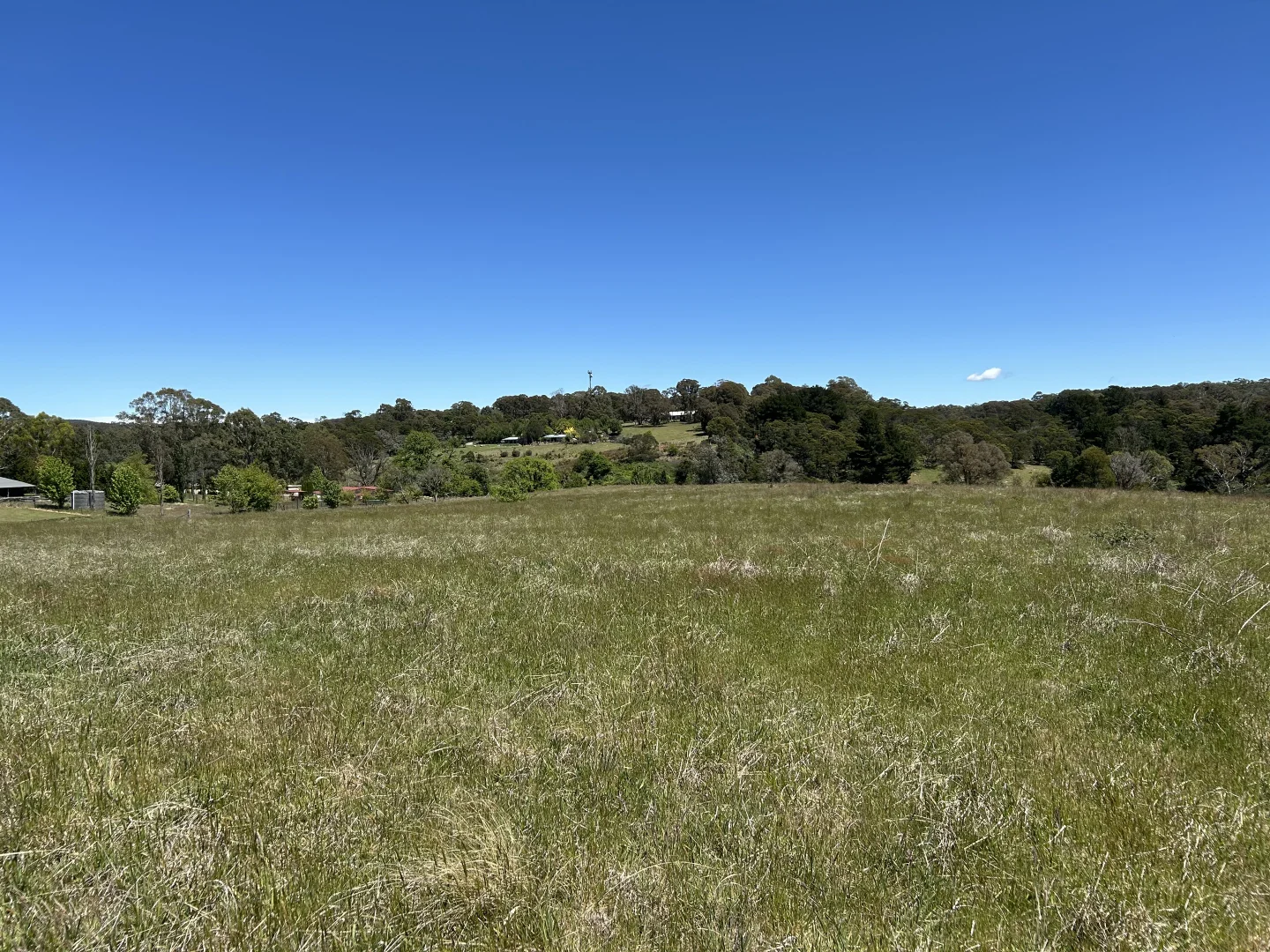 Additional image 8 of 1202 Majors Creek Road, Majors Creek NSW 2622