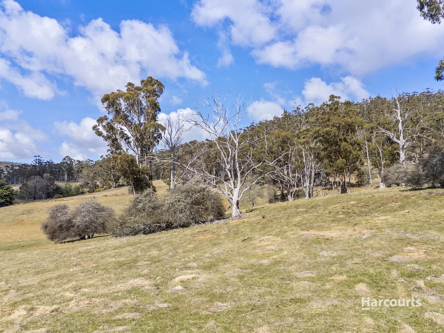 Additional image 9 of Lot 1/4115 Tasman Highway, Runnymede TAS 7190