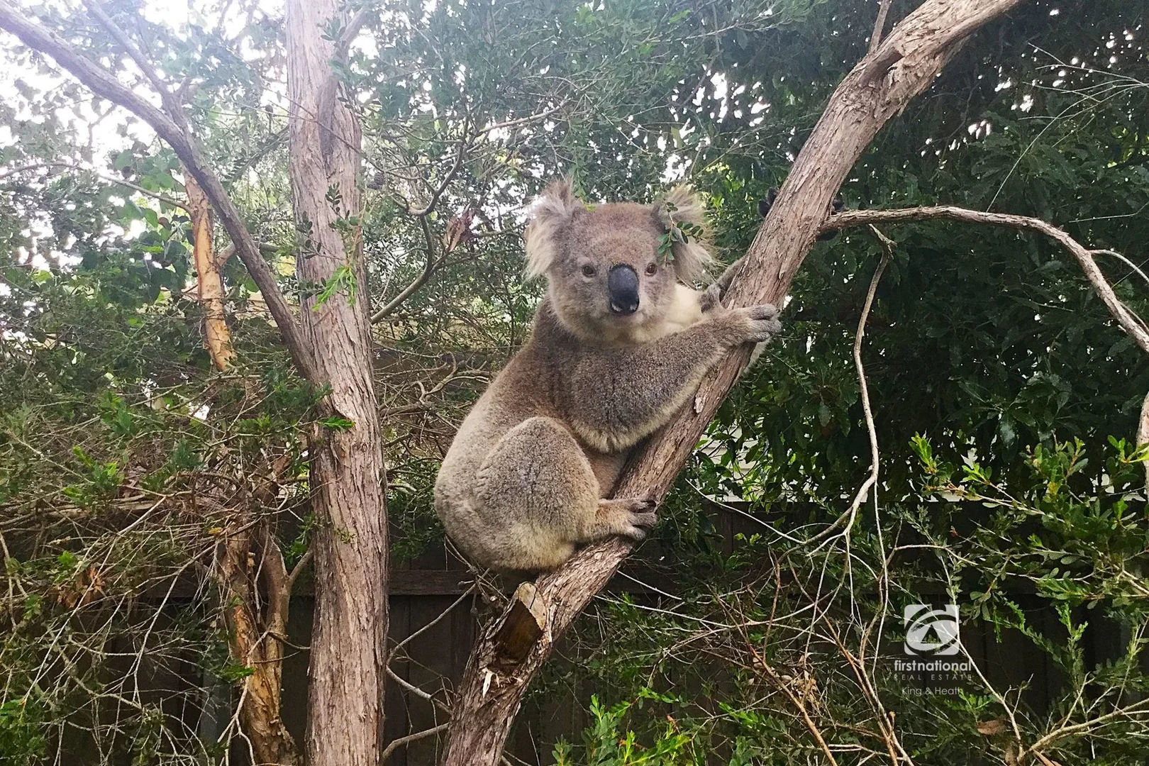 Additional image 9 of 57 Fourth Avenue, Raymond Island VIC 3880