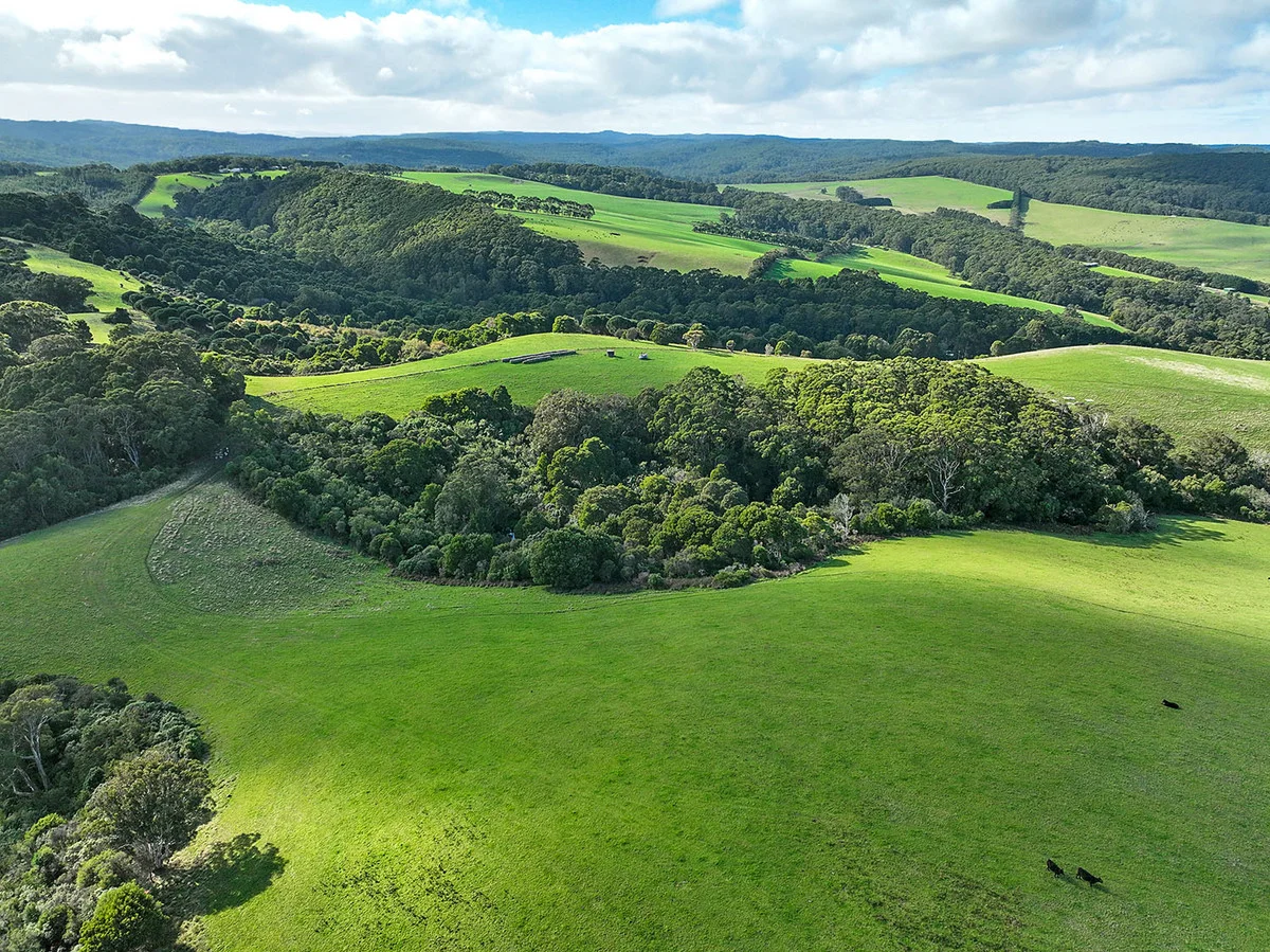 Additional image 11 of 105 Stafford Road, Johanna VIC 3238