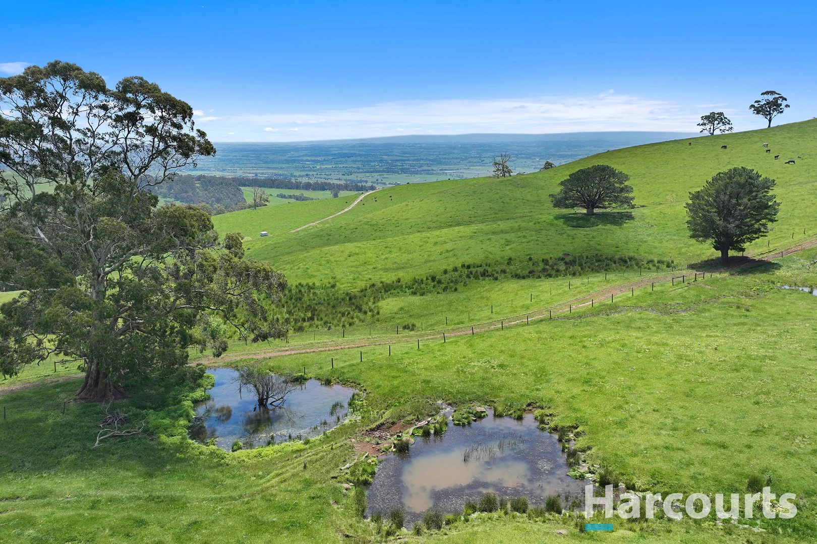 Additional image 3 of 1246 Trafalgar Thorpdale Road, Trafalgar South VIC 3824