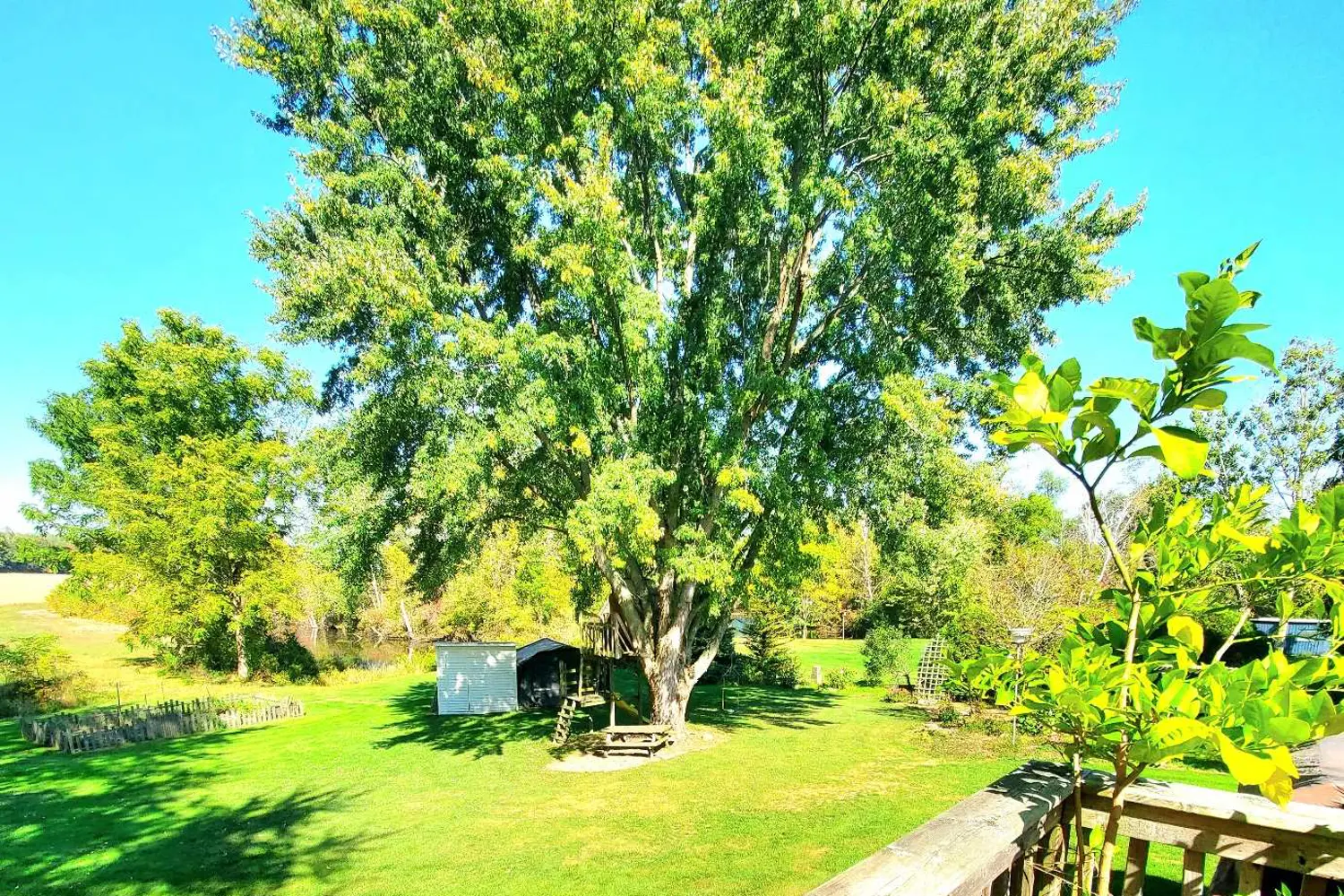 Additional image 14 of 5 Rosemarie Boulevard