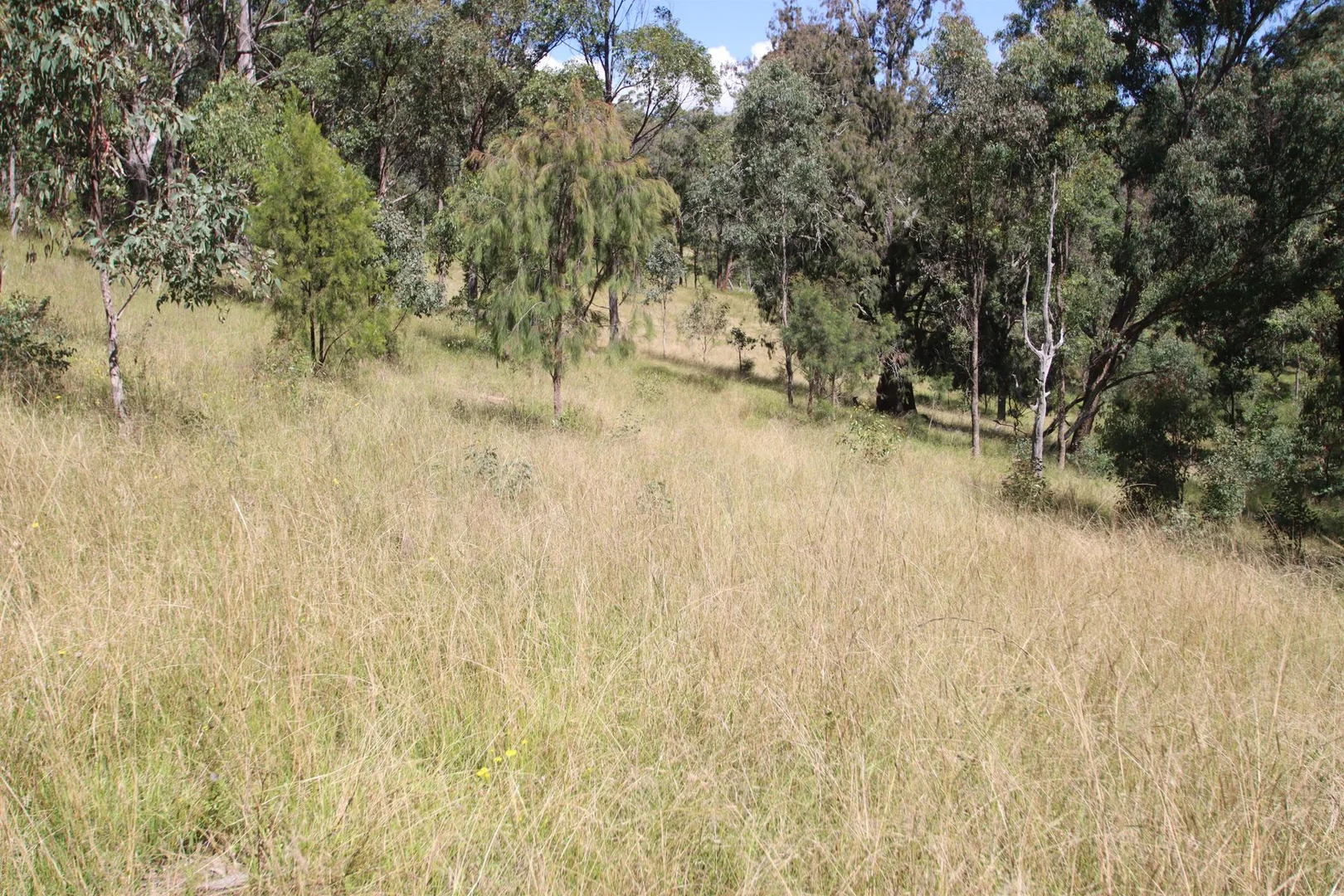 Additional image 8 of 1465 Billirimba Road, Tenterfield NSW 2372
