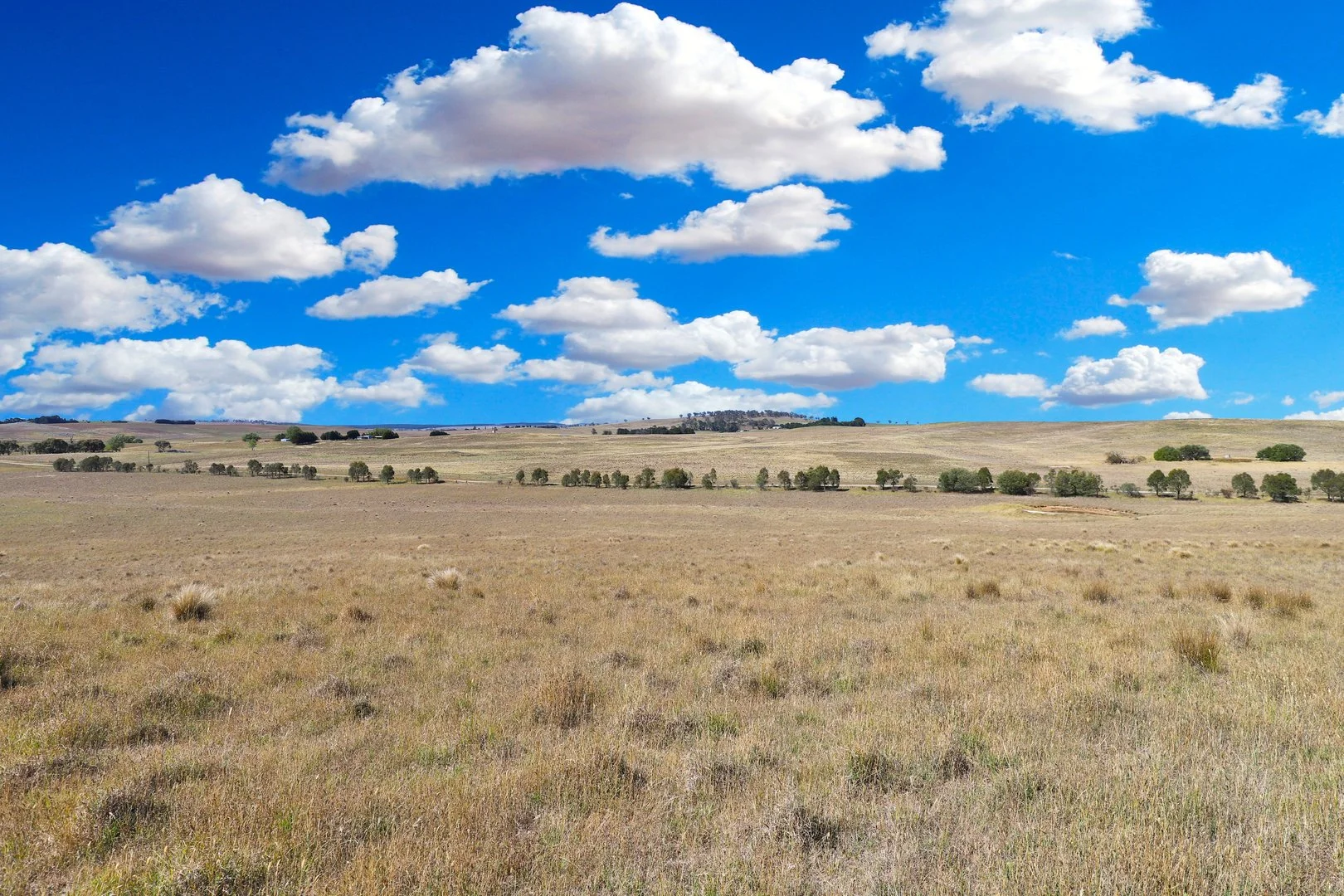 Additional image 19 of 77 Aerodrome Road, Bombala NSW 2632