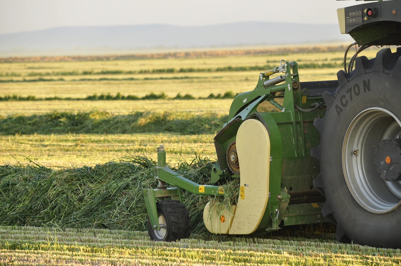 Additional image 33 of 1 Henry Lawson Way, Forbes NSW 2871