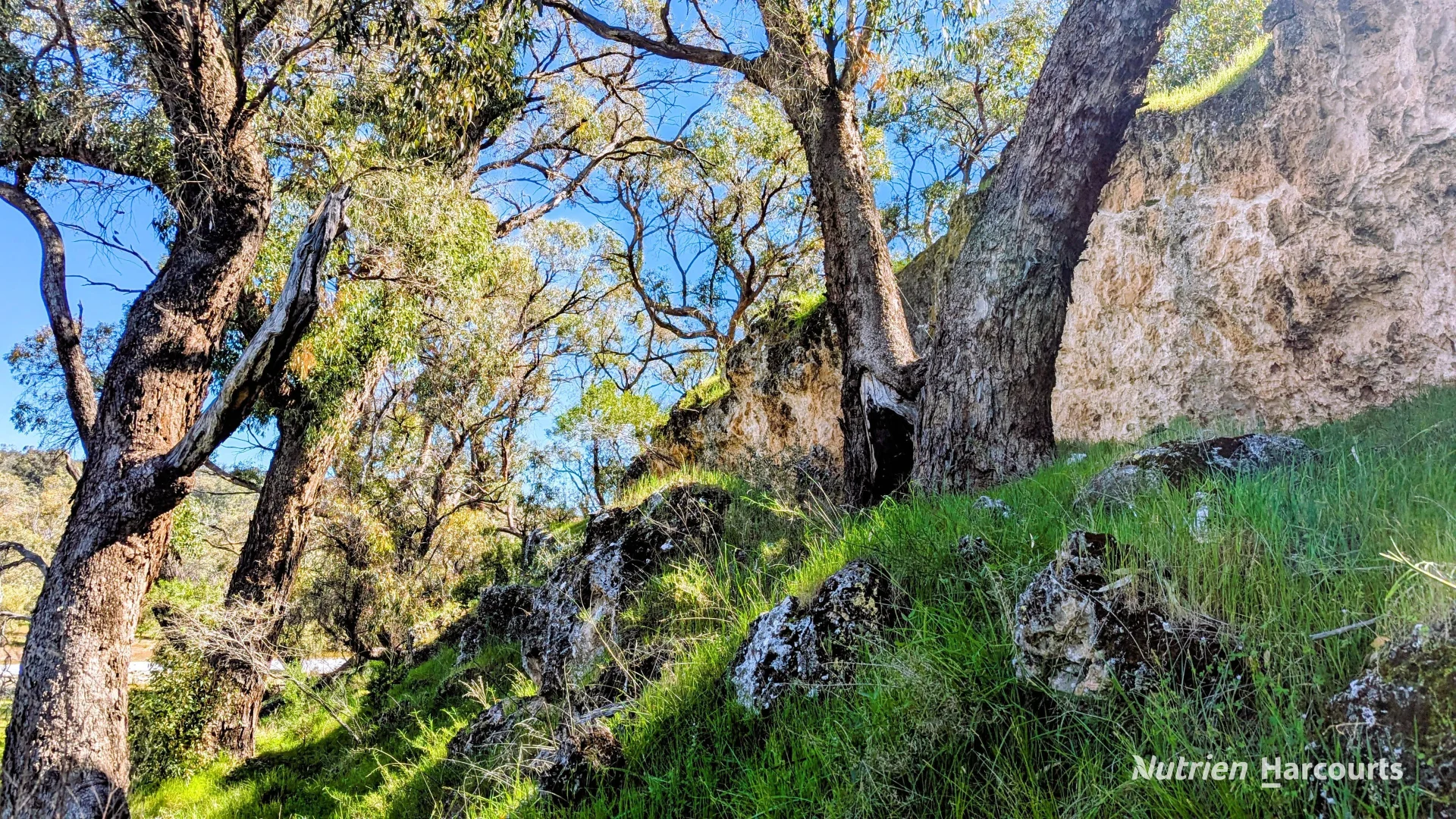 Additional image 20 of Lot 51 Millbank Road, Cowalla WA 6503