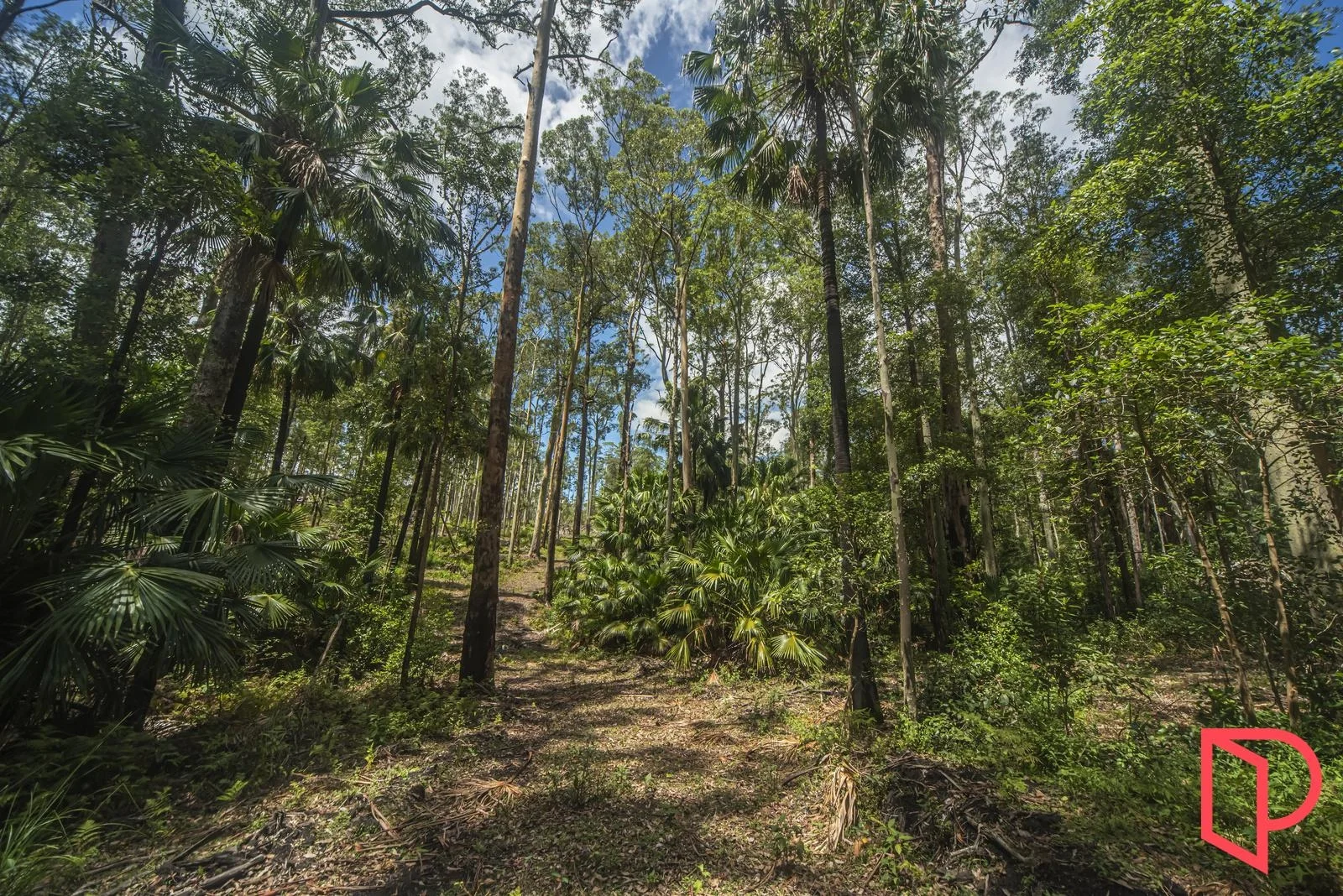 Additional image 4 of 42 Turpentine Road, Tomerong NSW 2540