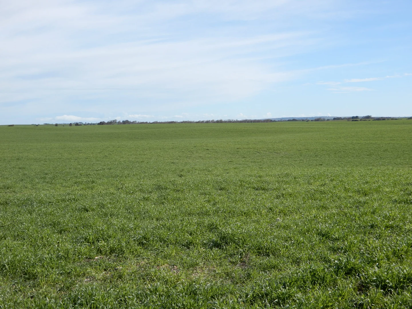 Additional image 23 of 252 Jabez Williams Road, Meningie SA 5264