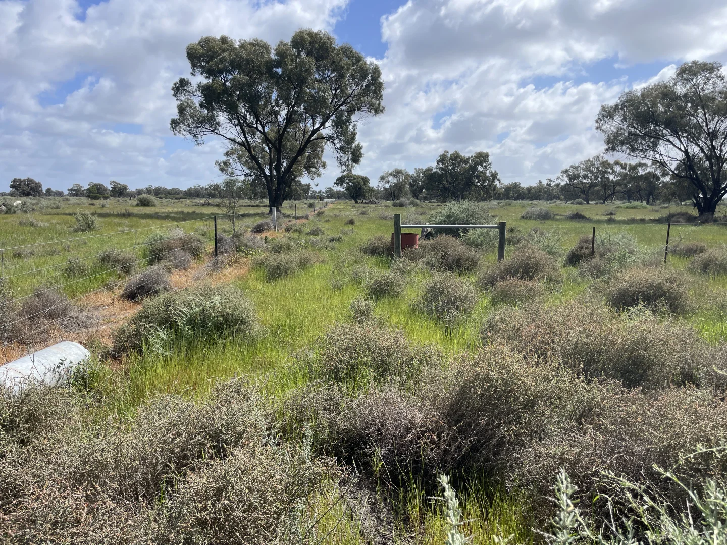 Additional image 11 of 'Fishers' 174 Balranald Road, Moulamein NSW 2733