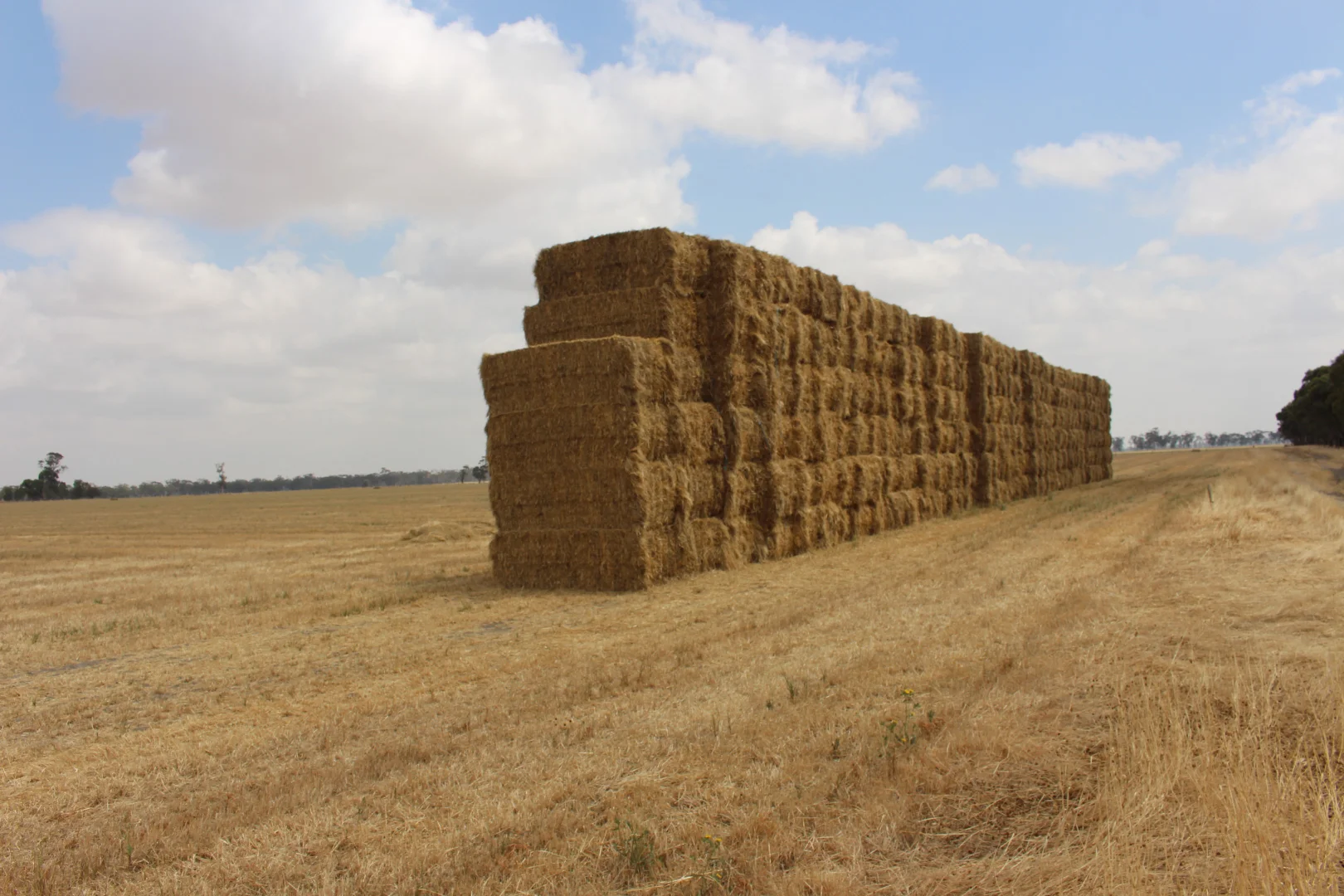 Additional image 3 of 1427 Naracoorte Road, Bordertown SA 5268