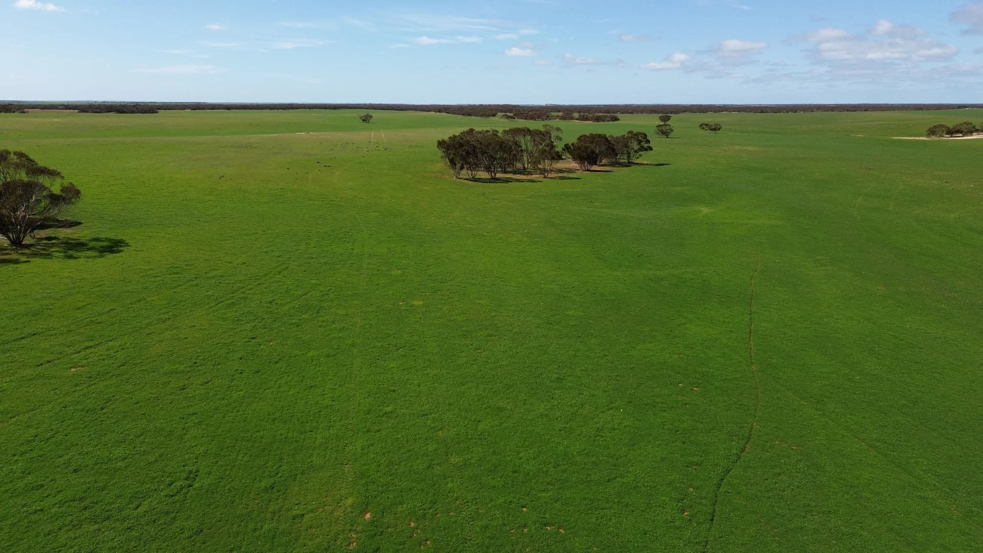 Additional image 8 of Lot 2 Palabie Road, Wudinna SA 5652