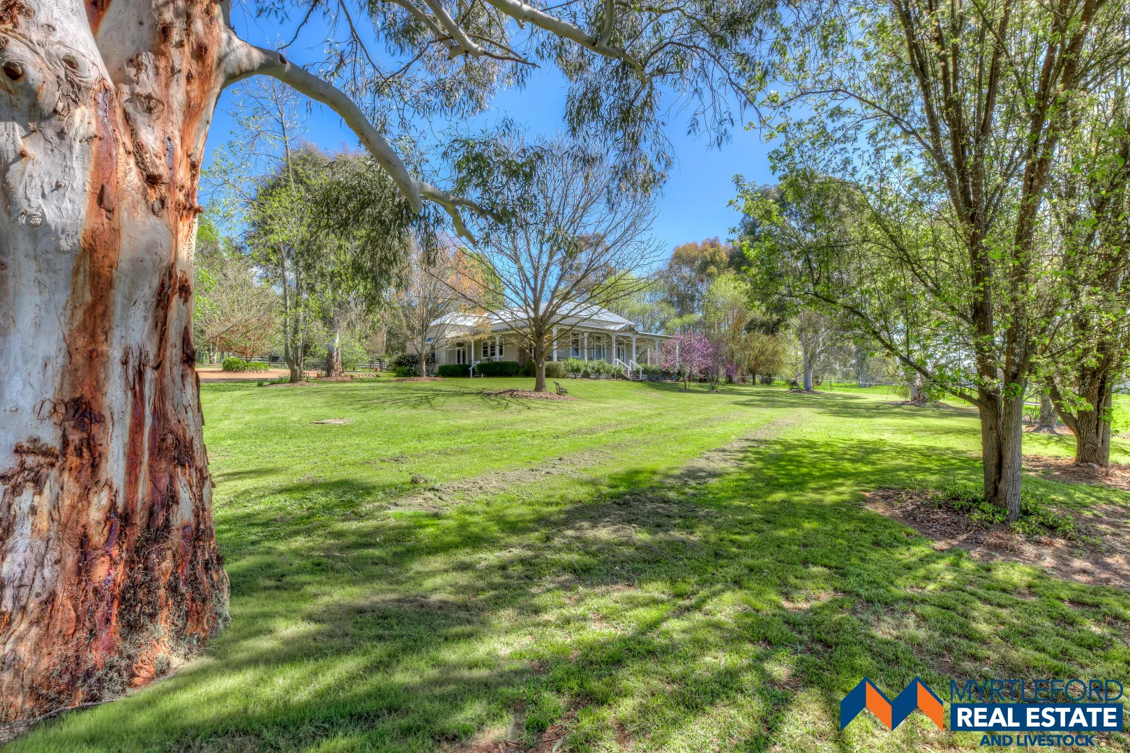 Additional image 3 of 714 Happy Valley Road, Myrtleford VIC 3737