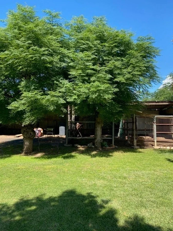 Additional image 20 of 26 Hermann Street, Coonamble NSW 2829