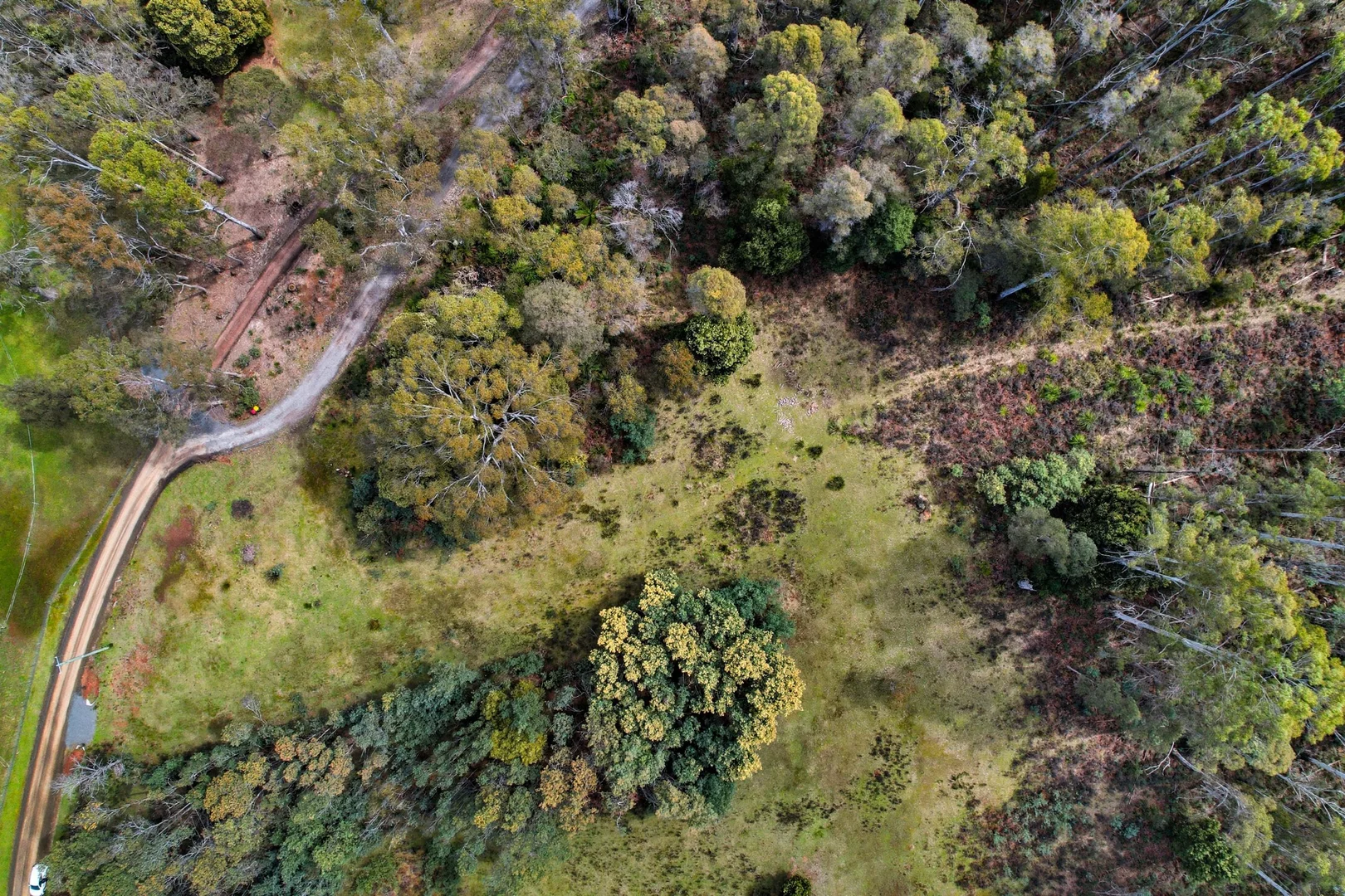 Additional image 10 of 28A Lorikeet Lane, Rosevale TAS 7292